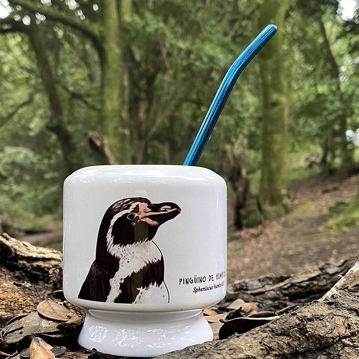 Mate Pingüino de Humboldt 1