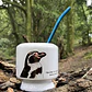 Mate Pingüino de Humboldt - Miniatura 1
