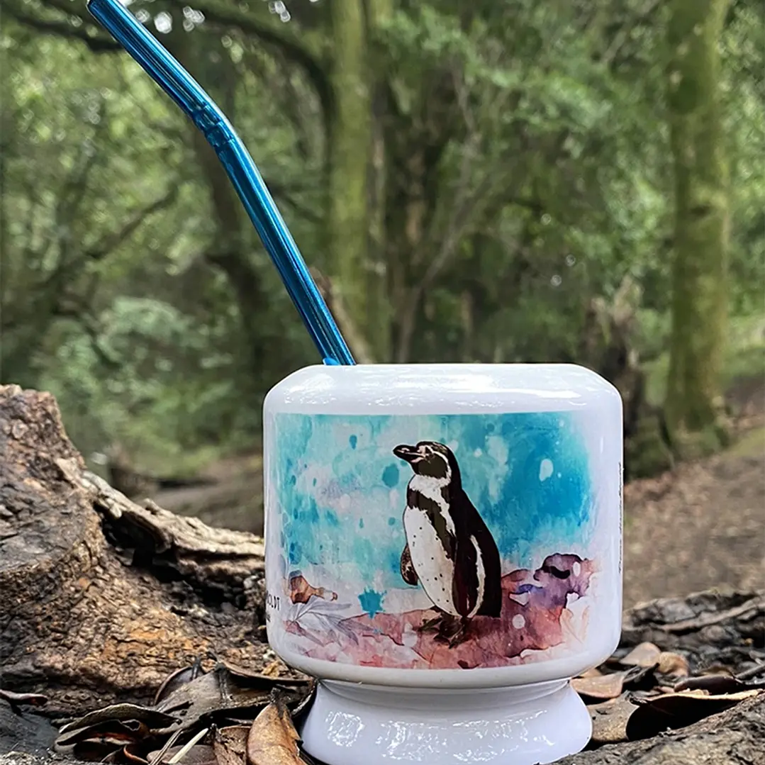 Mate Pingüino de Humboldt 2