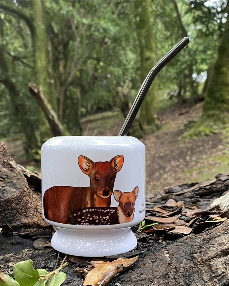 Mate Pudú