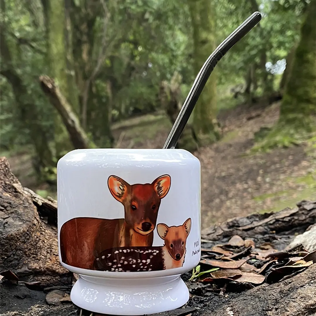Mate Pudú 1