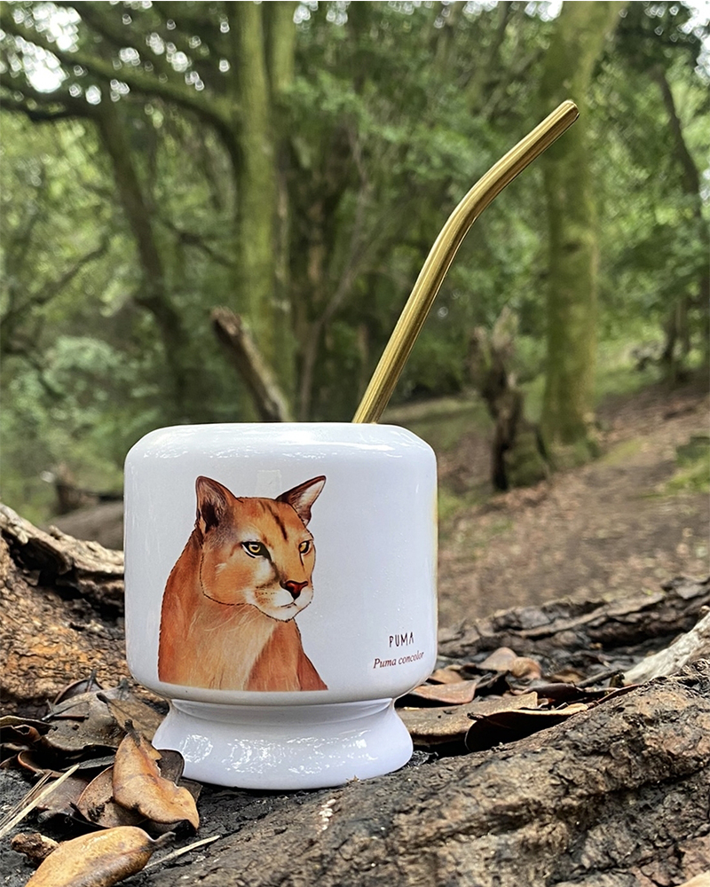 Mate Puma
