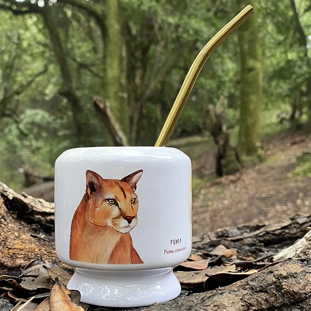 Mate Puma 1