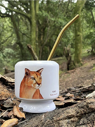 Mate Puma
