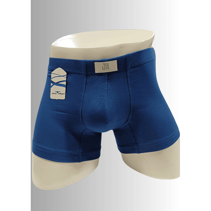 JOHN ALBERT BOXER CLASSY J0448 1