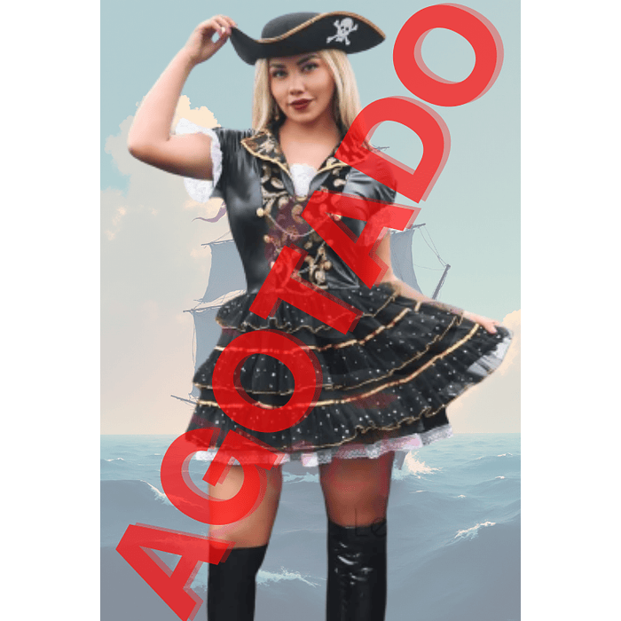 THE SECRET PIRATA DH-200347