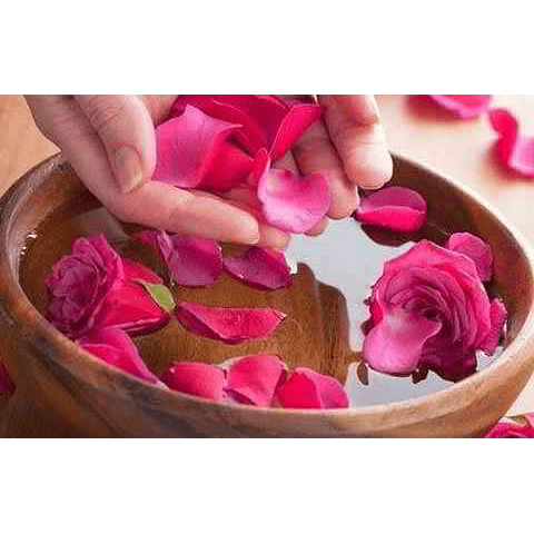 extracto pètalos de rosa