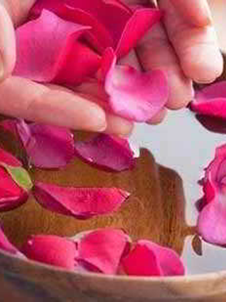 extracto pètalos de rosa 1