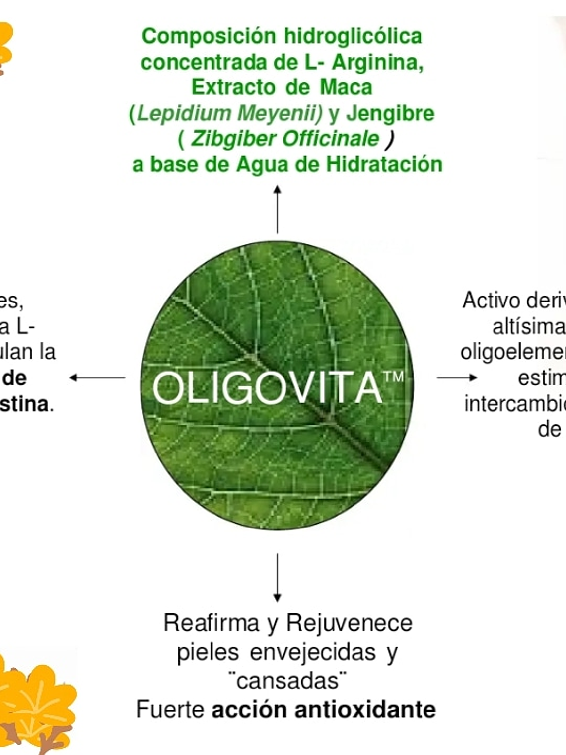 Oligovita...Rejuvenecedor vegetal  1