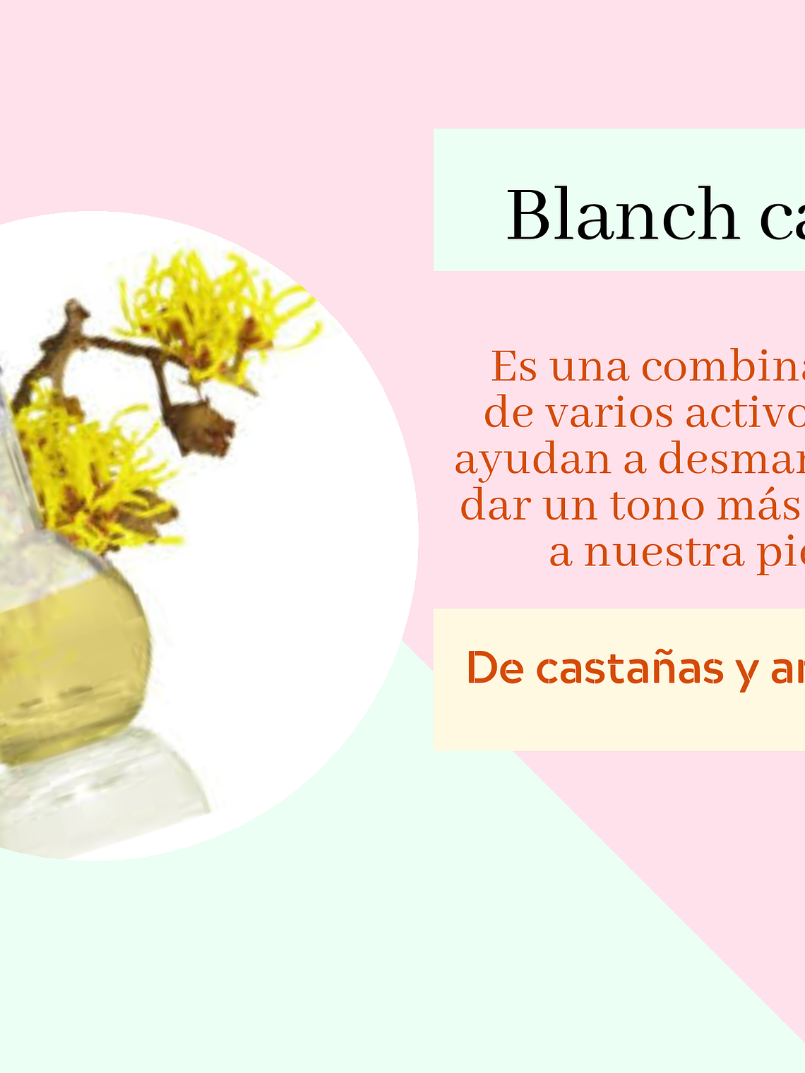 Blanch care 1