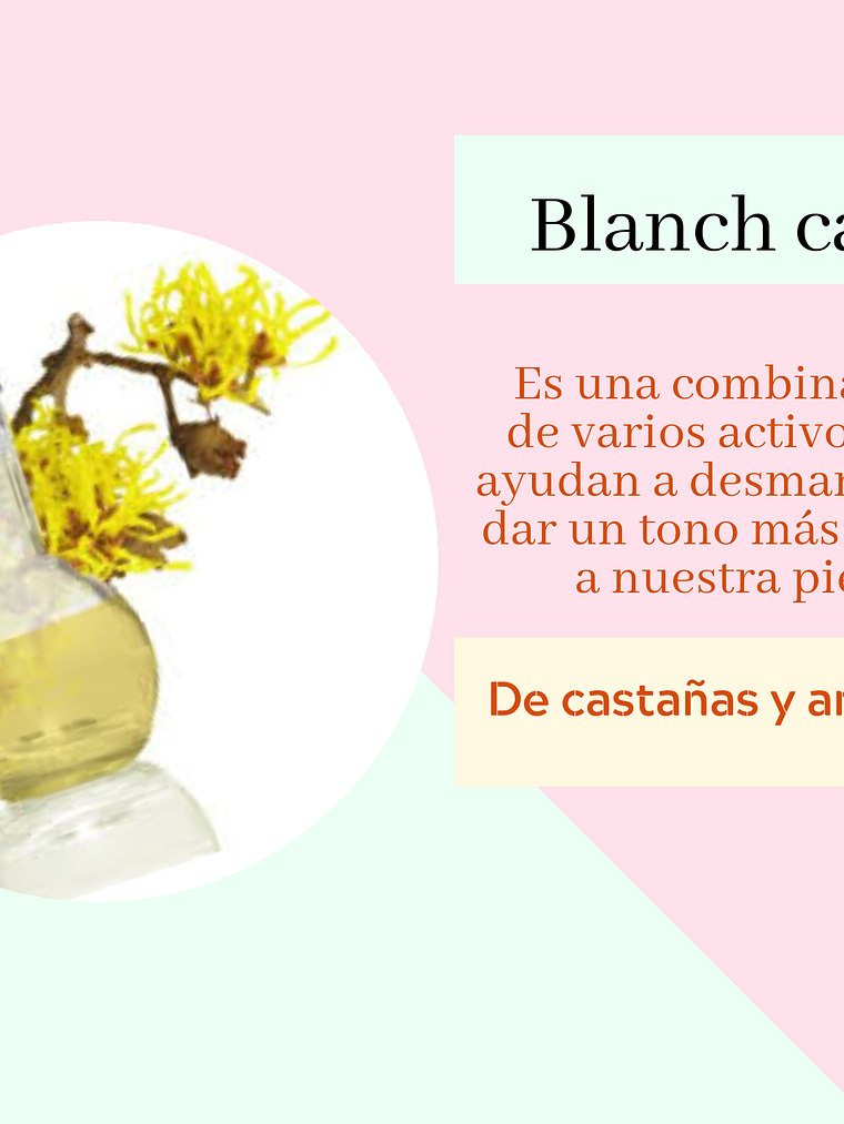 Blanch care 1