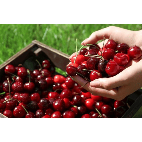 saborizante cherry
