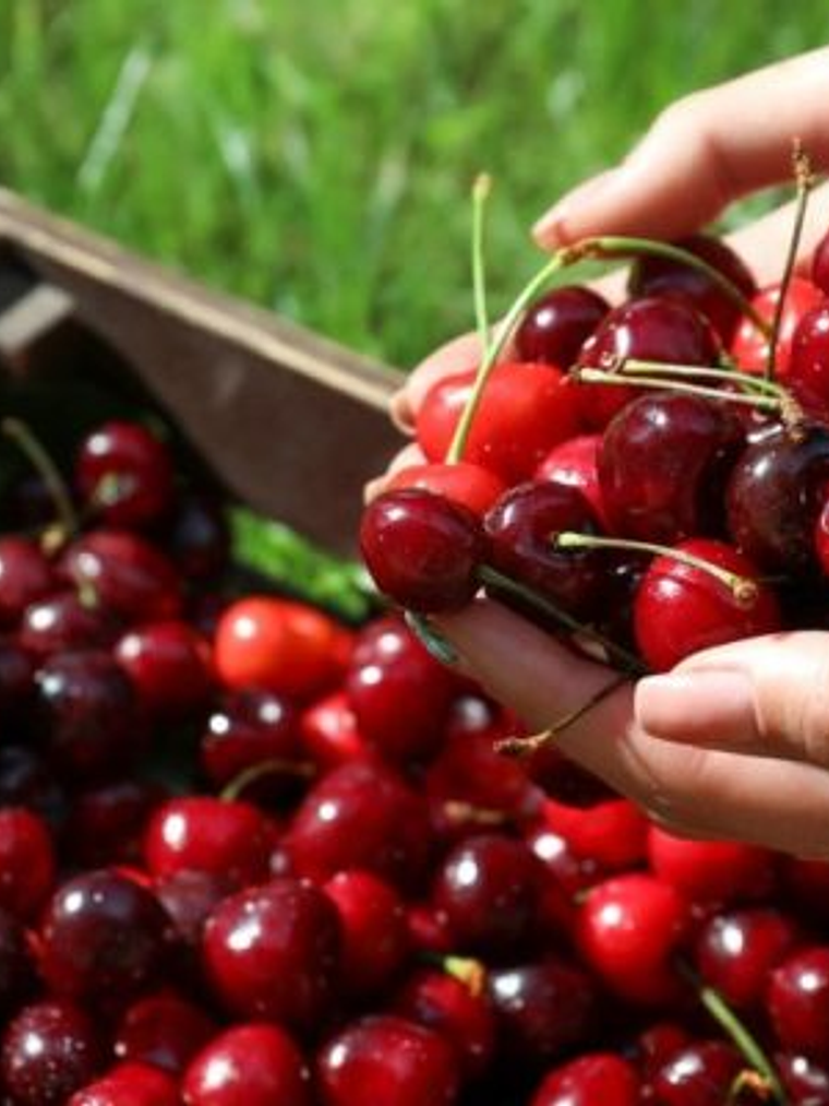 saborizante cherry 1