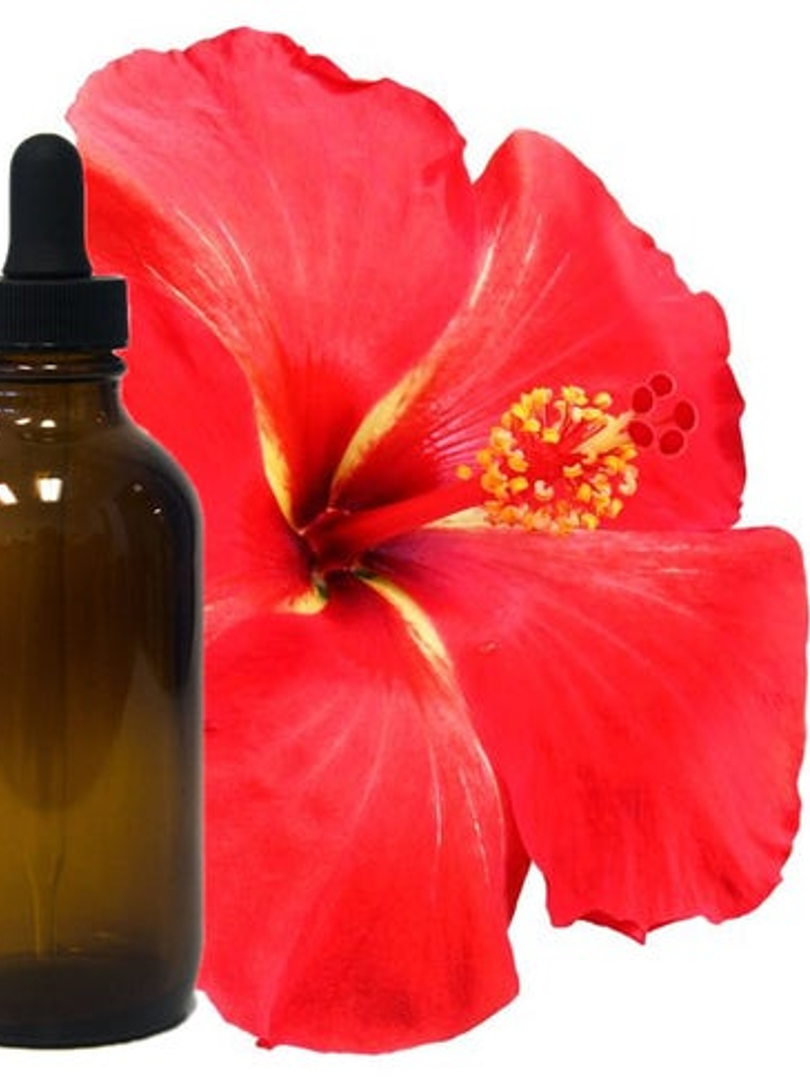 Aceite de hibiscus (flor de Jamaica)  1
