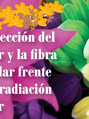 Keratin Soft... Protector de la fibra capilar