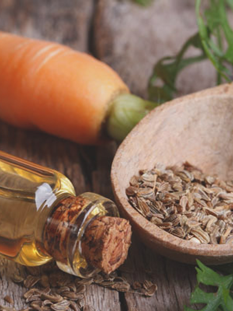 Aceite esencial de zanahoria 1