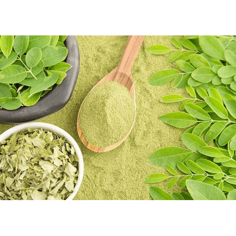 Moringa en polvo