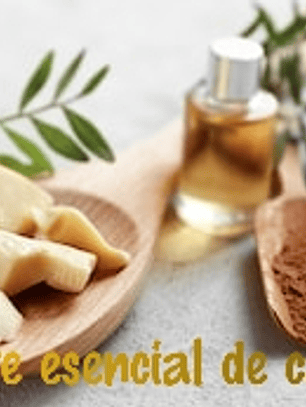 Aceite esencial de cacao 5 ml