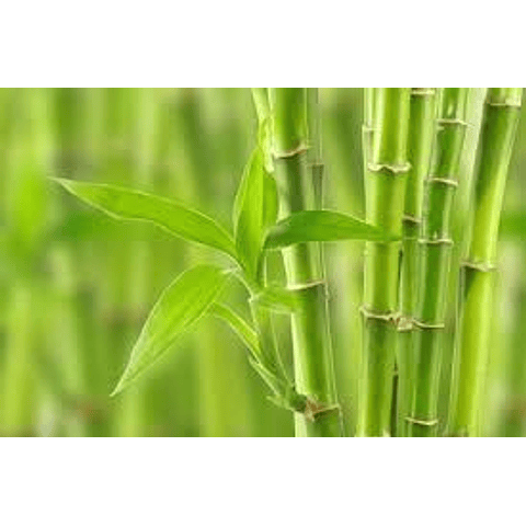 Exfoliante de bambú 30 grs
