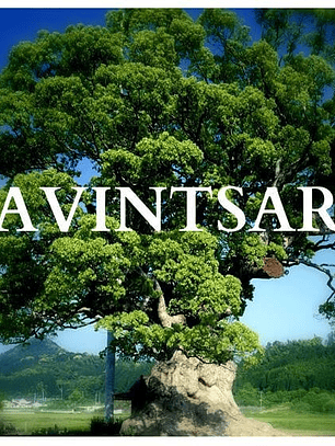 Aceite esencial Ravintsara 5 ml