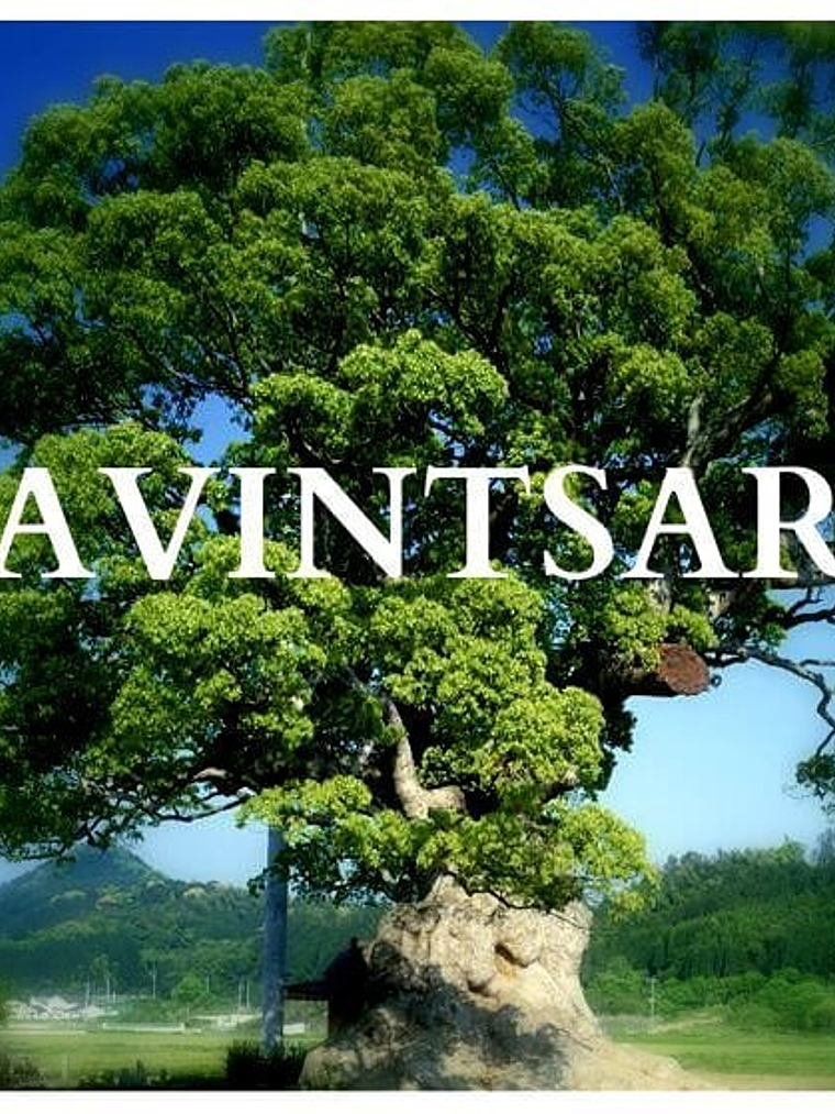 Aceite esencial Ravintsara 5 ml 1