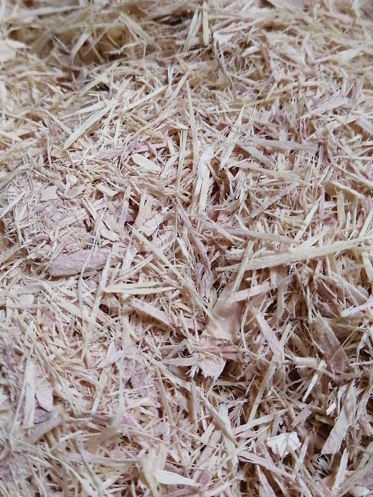 Quillay seco 50 grs 1