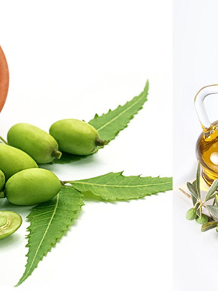 Aceite de Neem  1