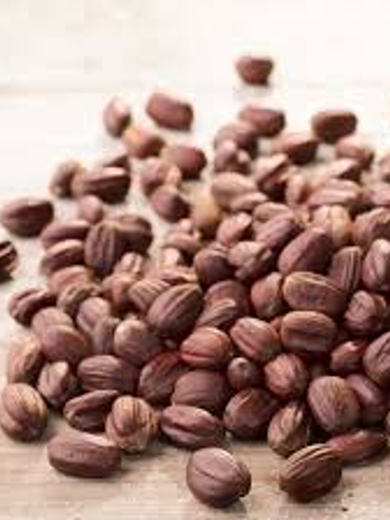 Semillas de jojoba 1