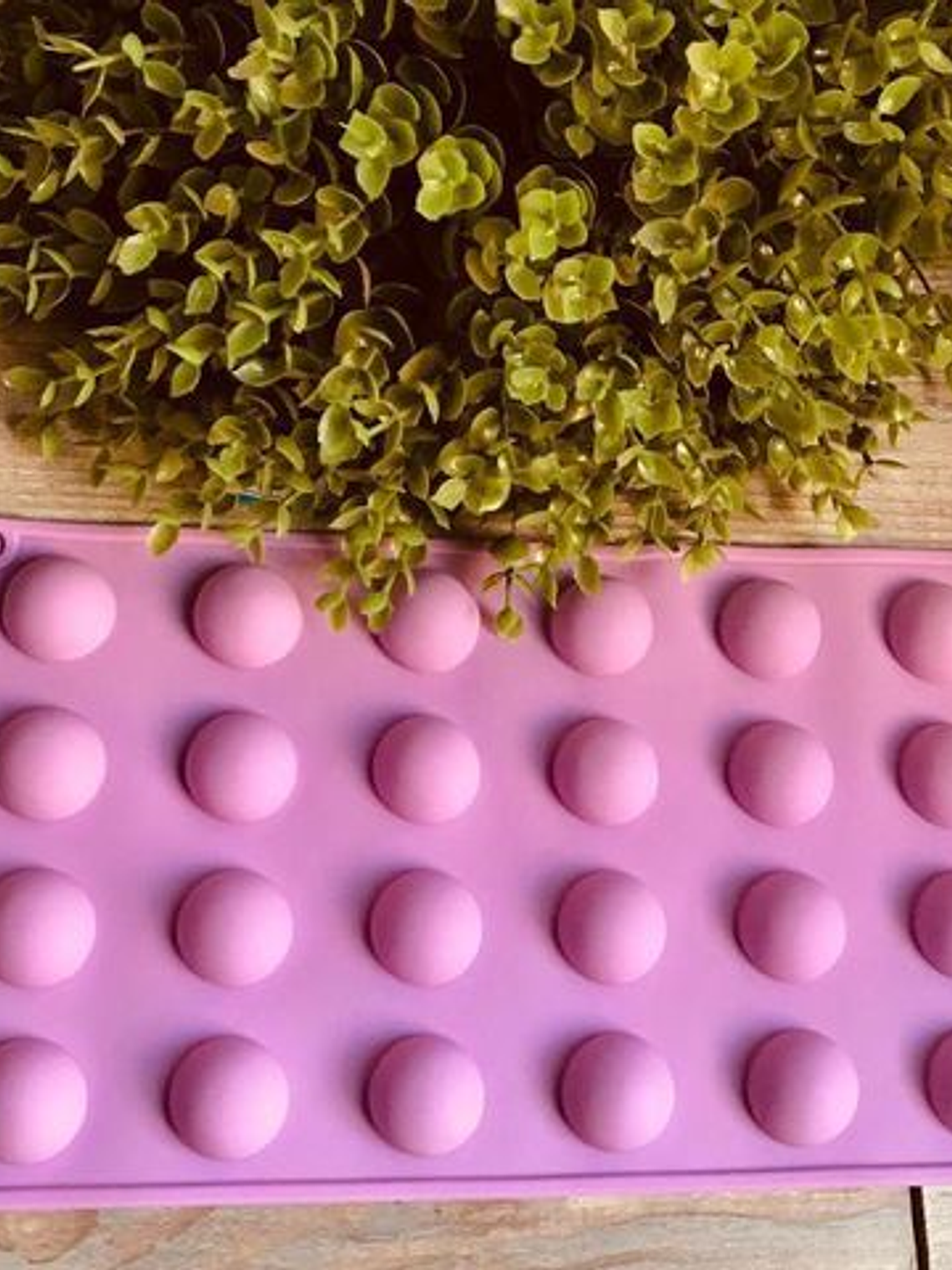 Molde 24 cavidades redondo 1