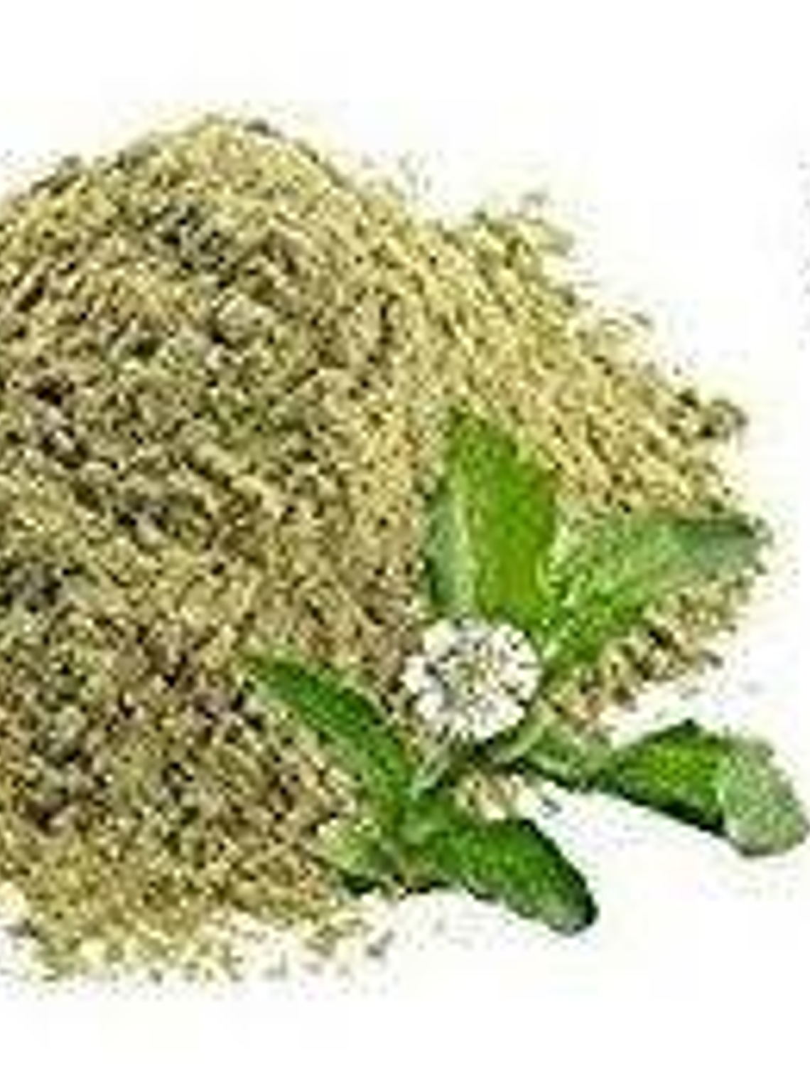 Polvo ayurvédico bhringraj  1