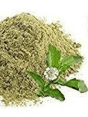 Polvo ayurvédico bhringraj 