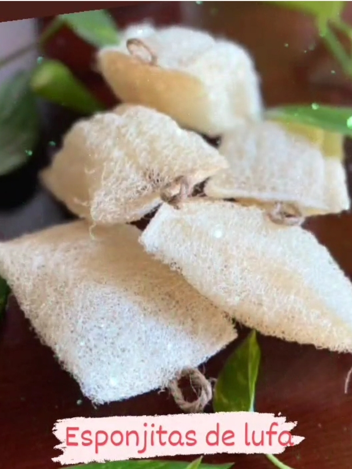  Lufa esponjitas 1