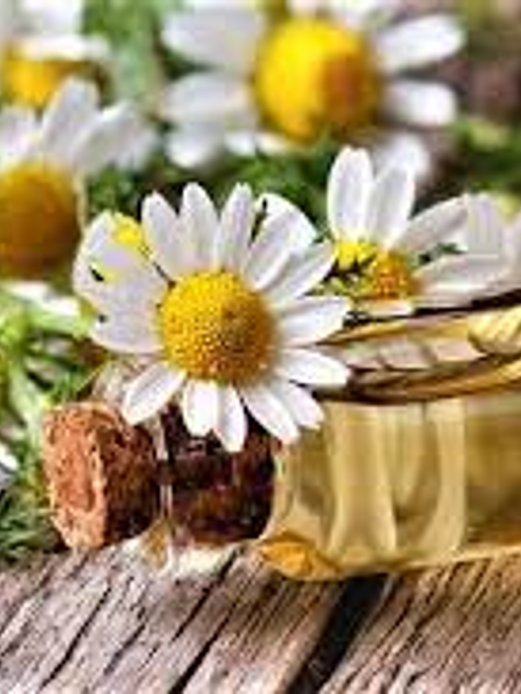 Alfa Bisabolol Oleoso 1