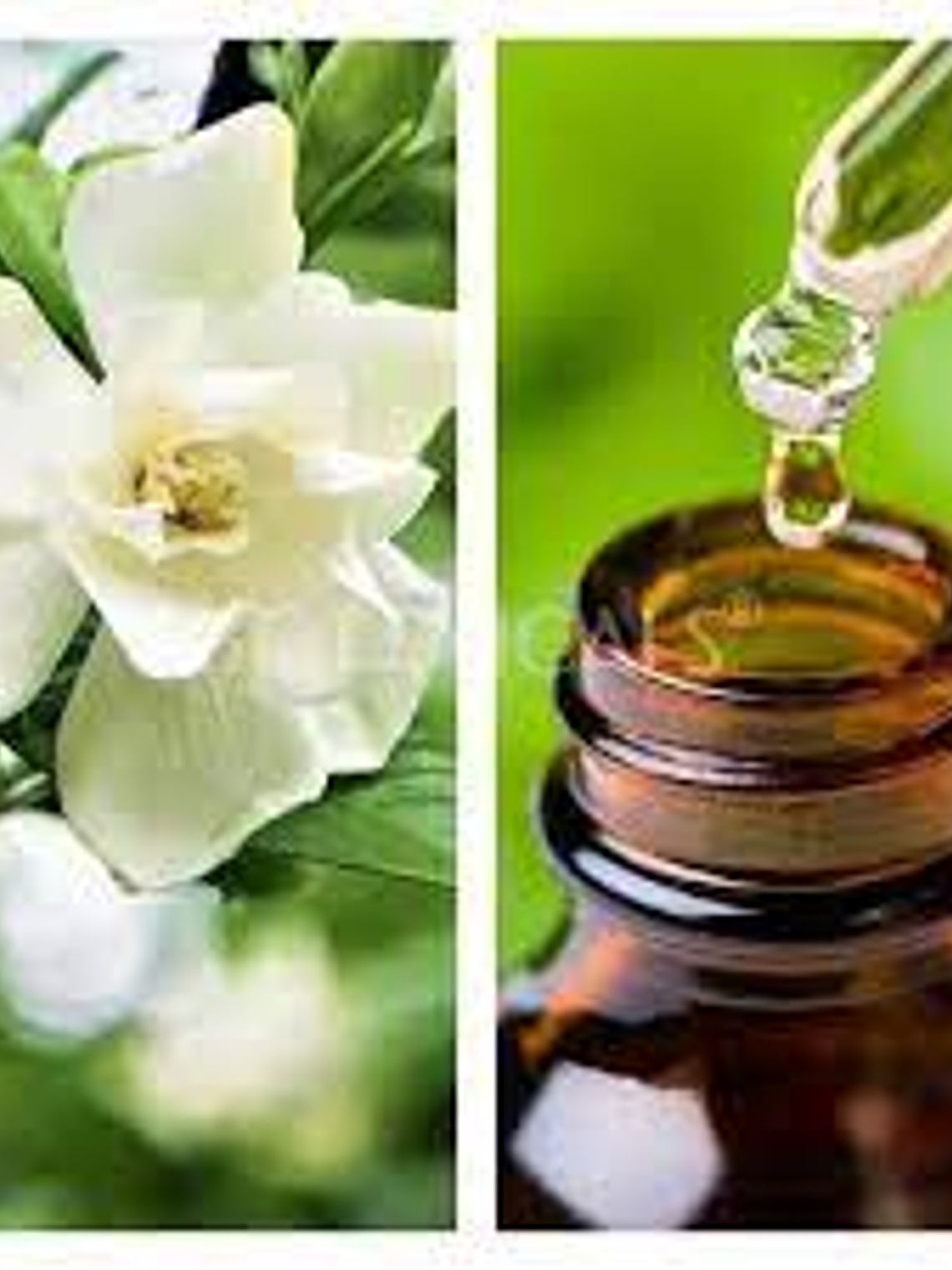 Aceite esencial de gardenia 5 ml  1