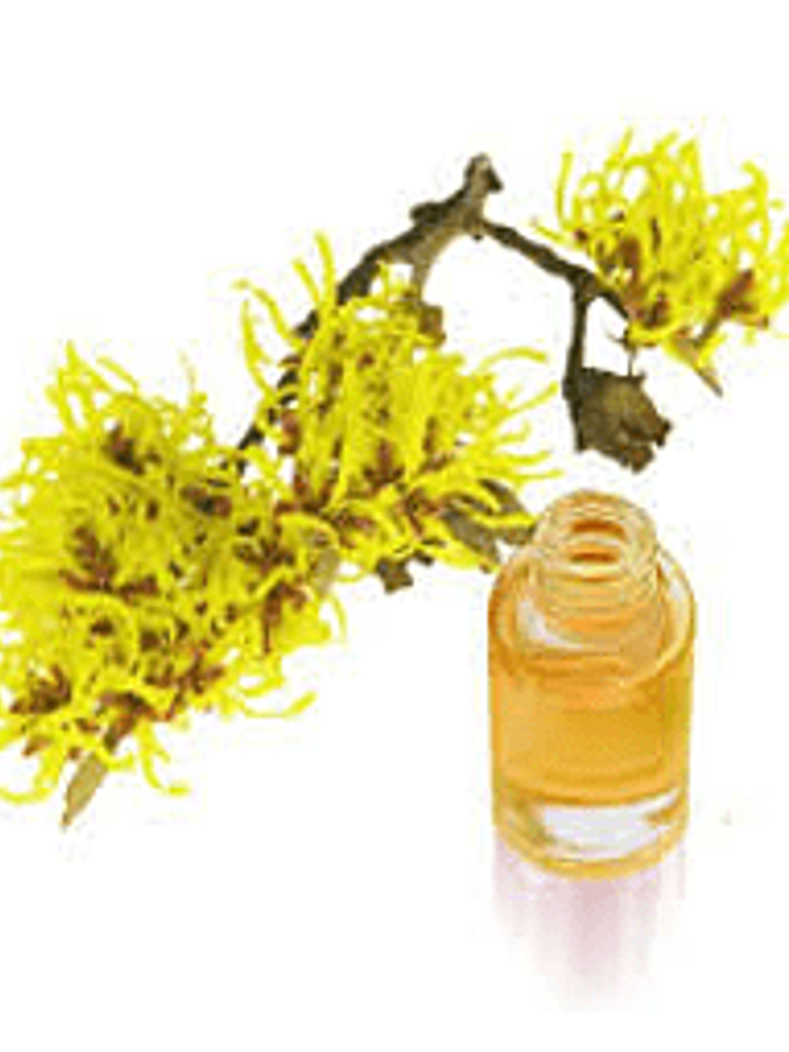 Hidrolato de hammamelis 1