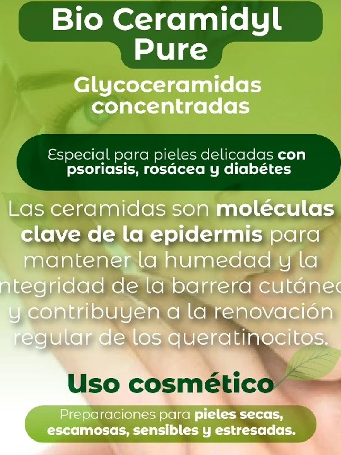 Bio Ceramidas pure, activo premium de alta gama 1