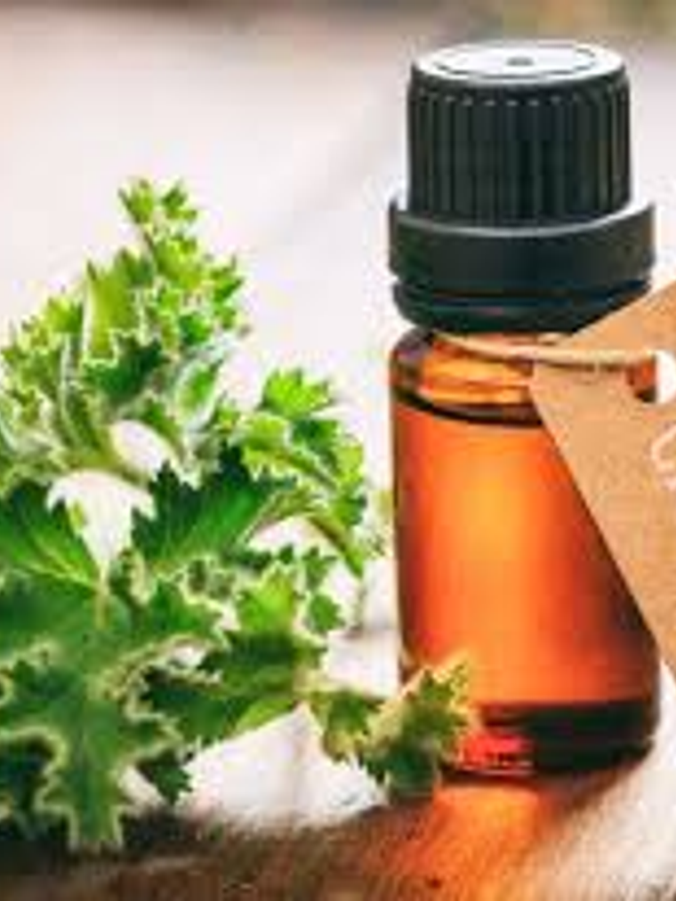 Aceite Esencial Citronela 5 ml  1