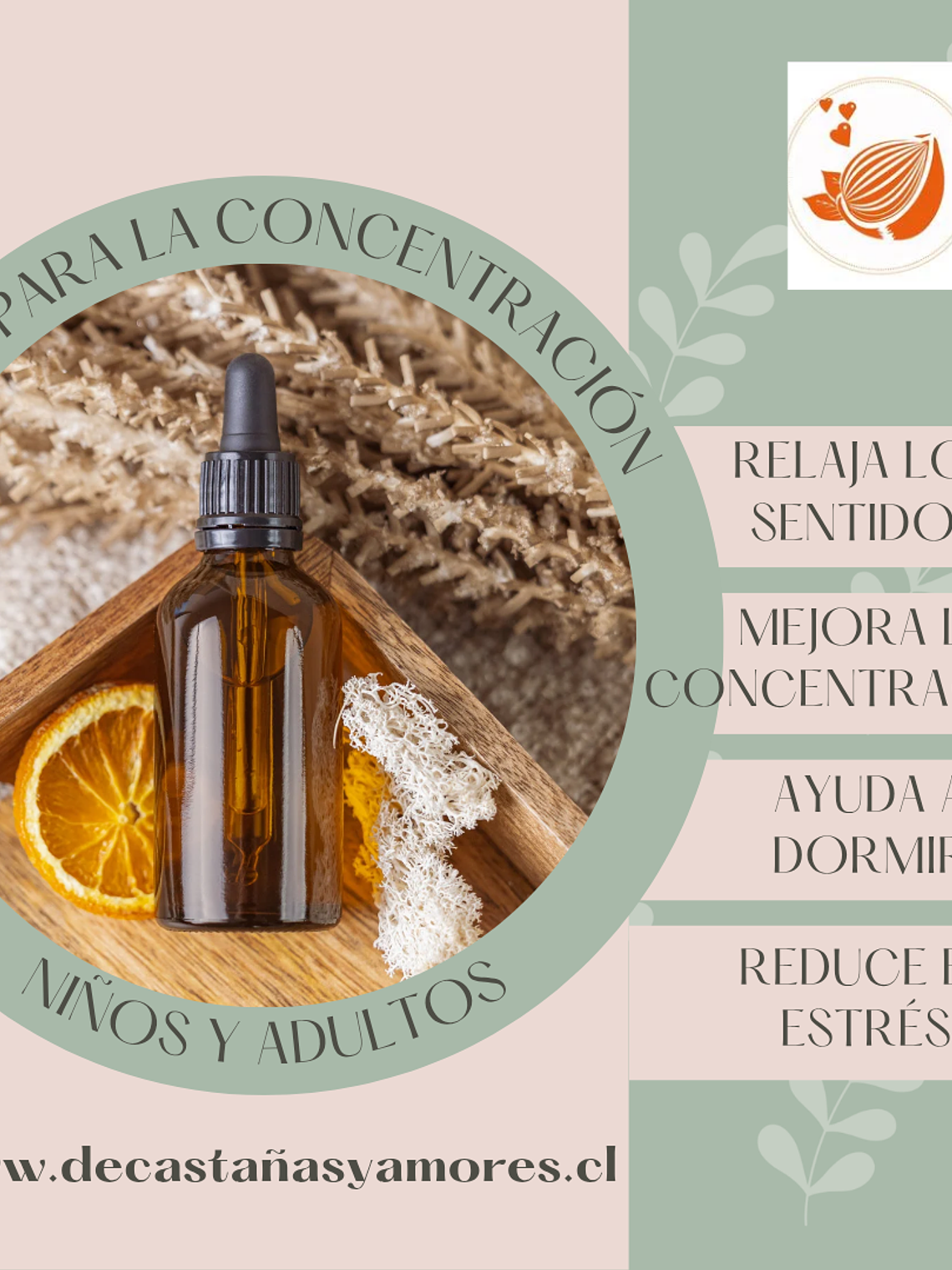 Blend para la concentración, buen dormir y relajo 1
