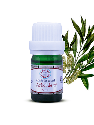 A. Esencial Tea-Tree o árbol de té