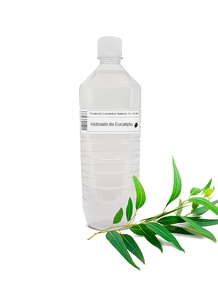 Hidrolato de Eucalipto