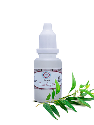 Esencia Eucalipto  