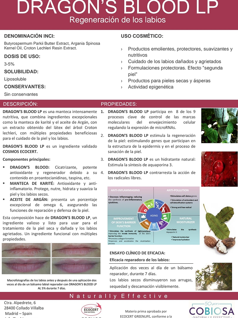 Nutri repair lips 30 grs / Dragon's Blood LP 2