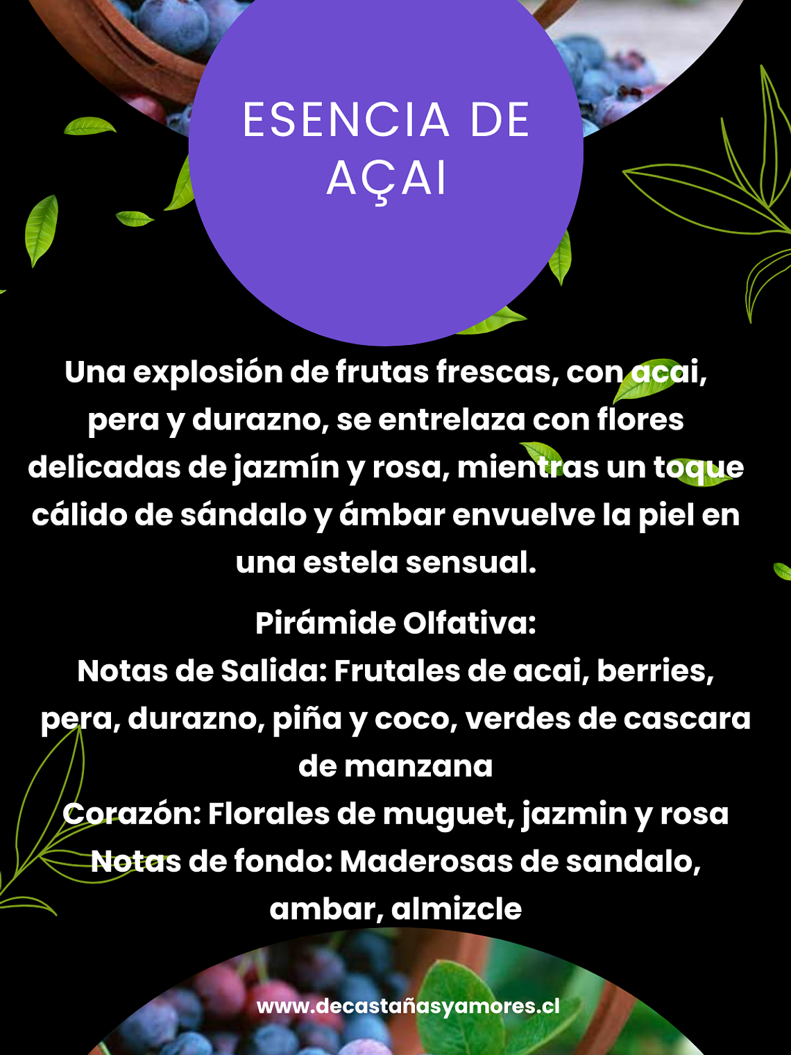 Esencia Acai 2