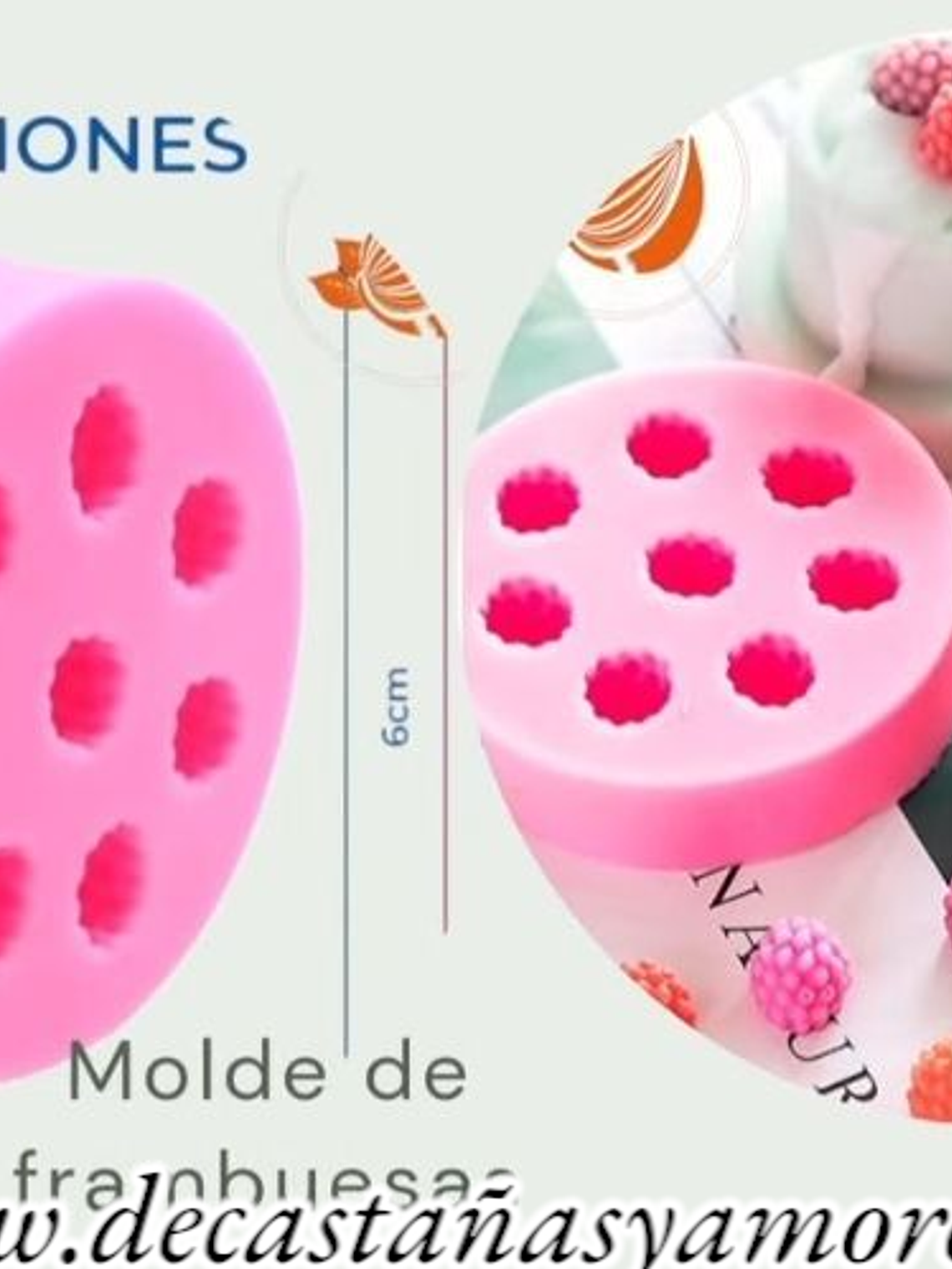 Molde de frambuesa  1