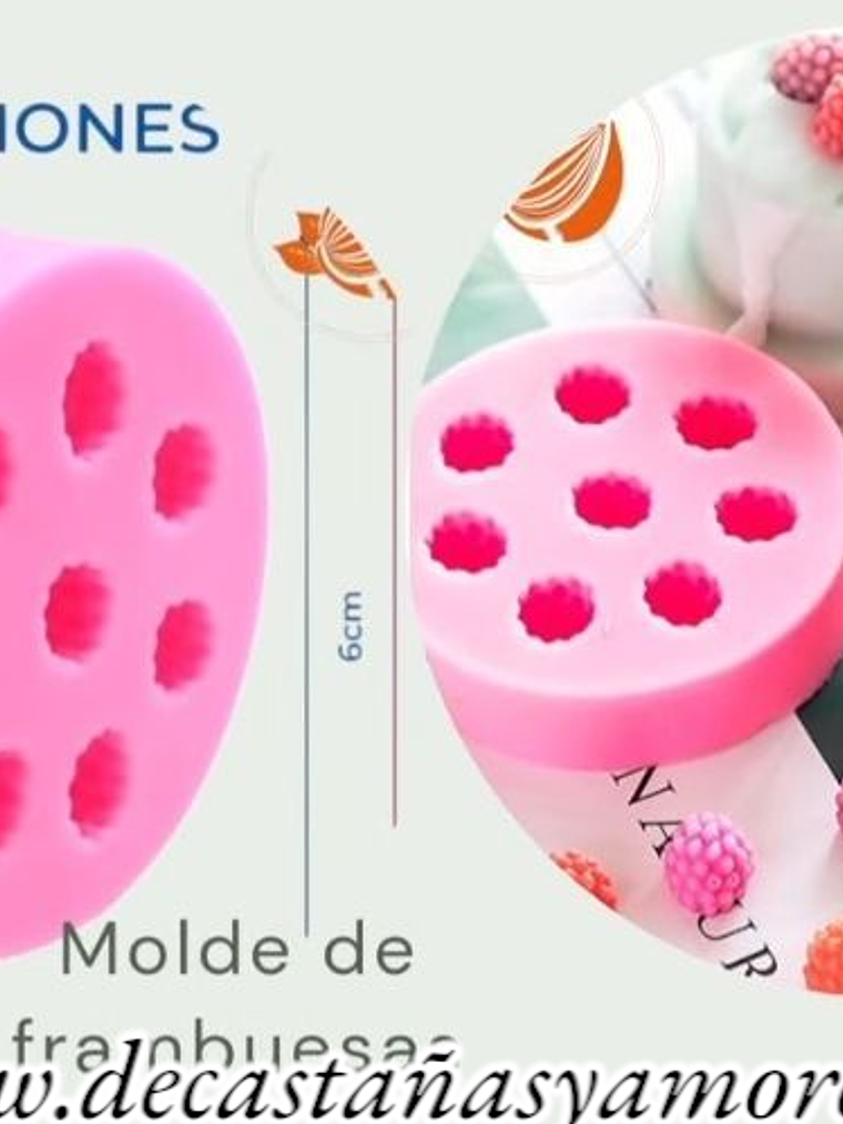 Molde de frambuesa  1