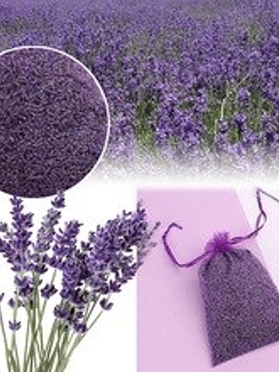 Capullito lavanda seca 