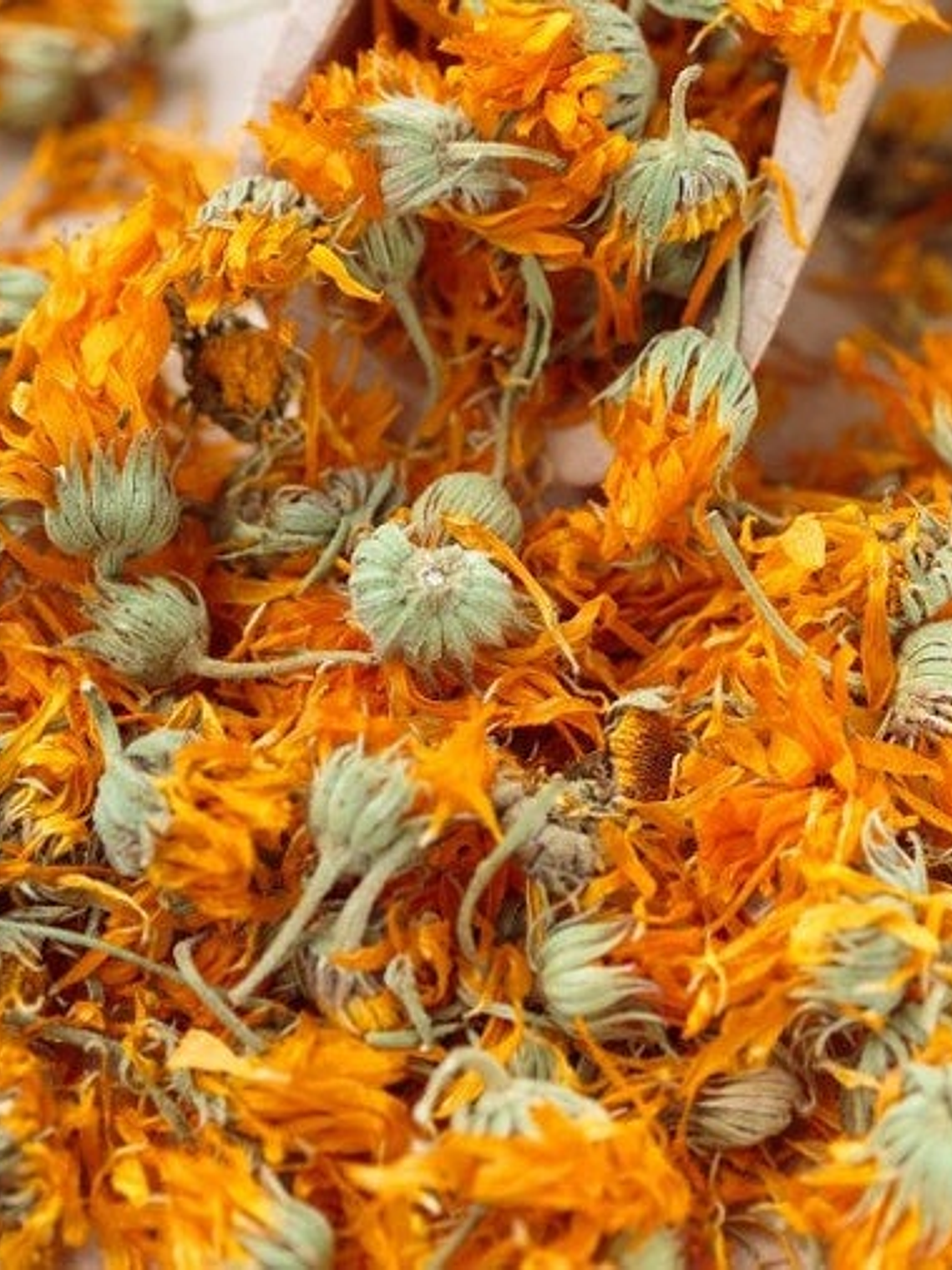 Flor de Caléndula seca 1