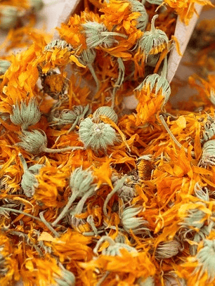 Flor de Caléndula seca