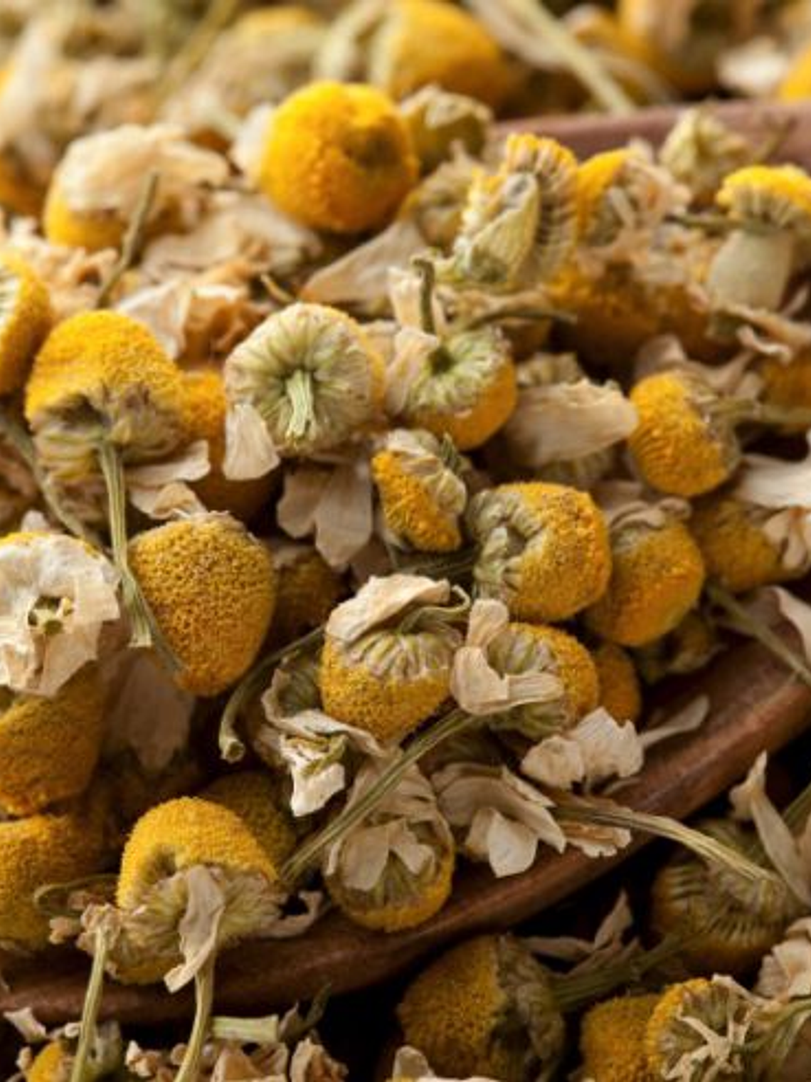 Manzanilla flor seca  1