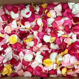 Petalos de Rosa